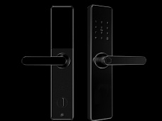 青松沃德-Wi-Fi 指紋鎖家用防盜門智能門鎖密碼鎖刷卡電子鎖 防磁干擾 防撬 L9-WT (不含鎖體，鎖體需另購）